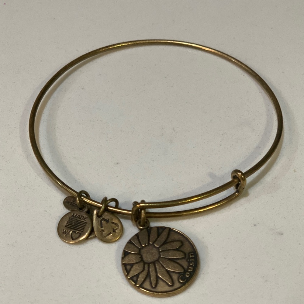 Alex and Ani Cousin Charm Bangle